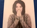 Björk Debut 1993 12