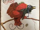 Paradise - Paradise EB 701 - 1980 UK LP VG/VG.  RARE