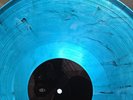 LINKIN PARK METEORA LOFI BREAKING THE HABIT BLUE SMOKE COLORED VINYL LTD ED 300