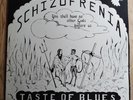 A Taste Of Blues LP Schizophrenia Sweden SSR 1st Press PSYCH & SO RARE BEAUTIFUL