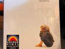 Tears For Fears  The Hurting  Lp Vinyl  Limited White Colour Vinyl Sealed Mint