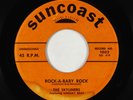 Doo-Wop R&B Rocker 45 - Skyliners - Rock-A-Baby Rock - Suncoast