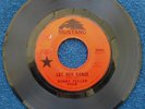 RARE Bobby Fuller Four 