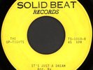 THE UP-TIGHTS It's Just A Dream 45 Solid Beat Rare 1960s Arkansas Soul