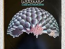 RAMP 'Come into Knowledge' US funk/soul LP (1977) original pressing - Roy Ayers