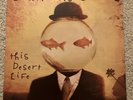 Counting Crows THIS DESERT LIFE - NM 2 x Vinyl LP - 1999 First Press 069490415-1