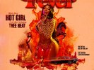 Megan Thee Stallion - Fever | LP Vinyl Brand New Sealed Mint 2019
