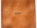 Travis Scott Rodeo 10th Anniversary Sealed Vinyl LP 12