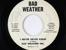 Modern Soul 45 - Bad Weather Inc. - I Never Never Knew - Private - rare
