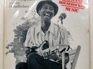HOUND DOG TAYLOR & HOUSE ROCKERS GENUINE HOUSEROCKING MUSIC ATLAS LA233015 1LP