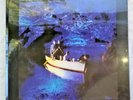 ECHO AND THE BUNNYMEN 
