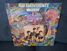 LP  FLAT EARTH SOCIETY Waleeco vinile stampa 180 gr. vinyl press psych rock EX++