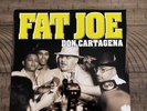 Fat Joe - Don Cartagena - 2xLP - 1998 - Mystic/Big Beat - First Pressing - VG+