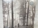Taylor Swift Folklore Limited Deluxe Edition 2 LP Brown Vinyl In The Trees NEW