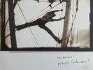 Tim Hecker – Radio Amor (2003 press) Vinyl Record