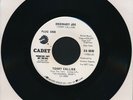 RARE Terry Callier Ordinary Joe / Golden Circle Of Your Love Vinyl 45 Cadet 1972