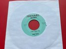 JIMMY ROBINS I Can't Please You 1966 USA 7