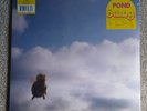 Pond - Stung   [2x Black & Yellow Spatter 12