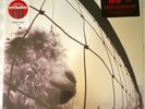 Pearl Jam Vs. LP 12