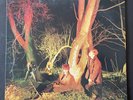 Echo & The Bunnymen - Crocodiles (Near Mint Vinyl LP - Tested) 1st Pressing 1980