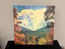 Tame Impala Innerspeaker 10 Year Anniversary Edition