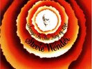 STEVIE WONDER 