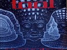 Tool - 10,000 Days (2 LP) Vinile Nuovo Sigillato Copia 16/50 Limited