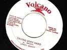 LEROY SMART  trying very hard  VOLCANO RECORDS.