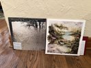 Bon Iver 2 Lp Lot, for Emma forever ago and Self Titled S/T