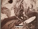 David Sylvian Secrets Of The Beehive LP Vinile Virgin MINT- NEAR MINT- LP VL2471